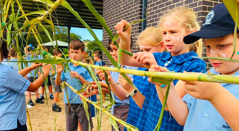 CSNSW Statement - Jarara Indigenous Education Unit - Catholic Schools Parramatta Diocese Ltd