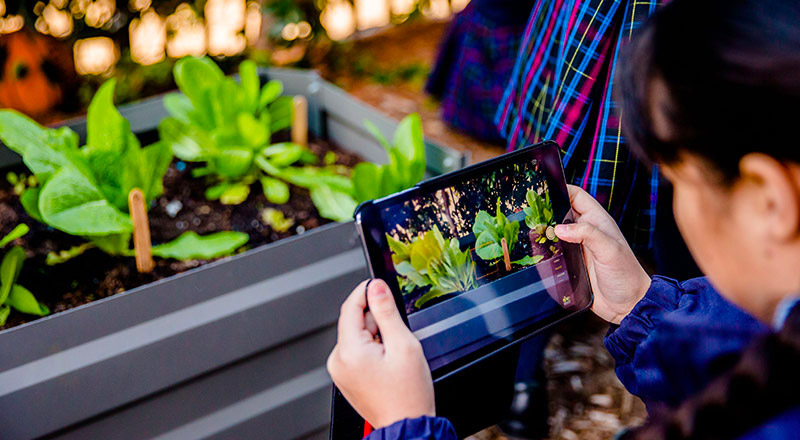 Technology in Learning - Catholic Schools Parramatta Diocese Ltd