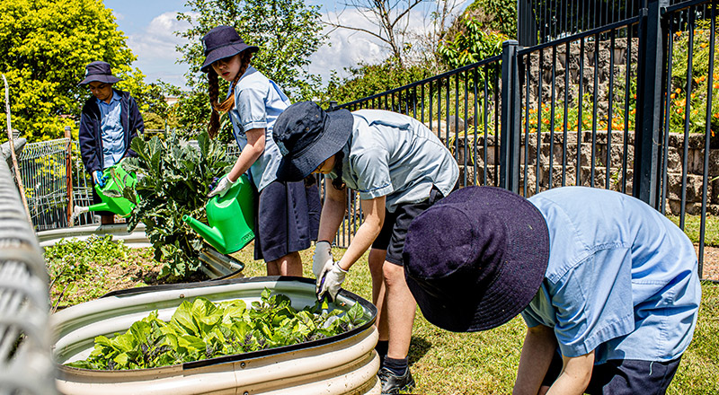Specialised Programs - Catholic Schools Parramatta Diocese Ltd