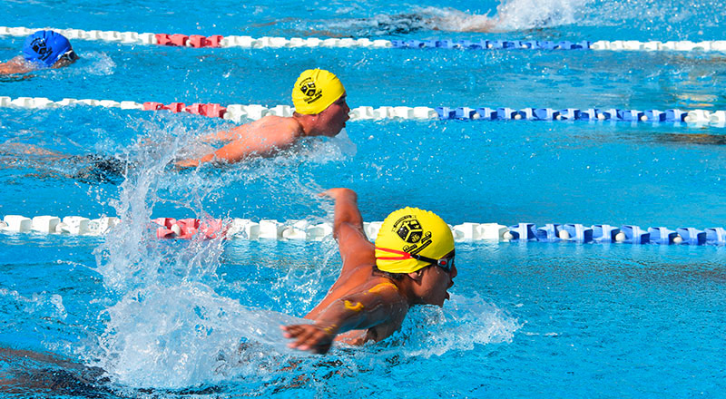 Representative Sport - Catholic Schools Parramatta Diocese Ltd