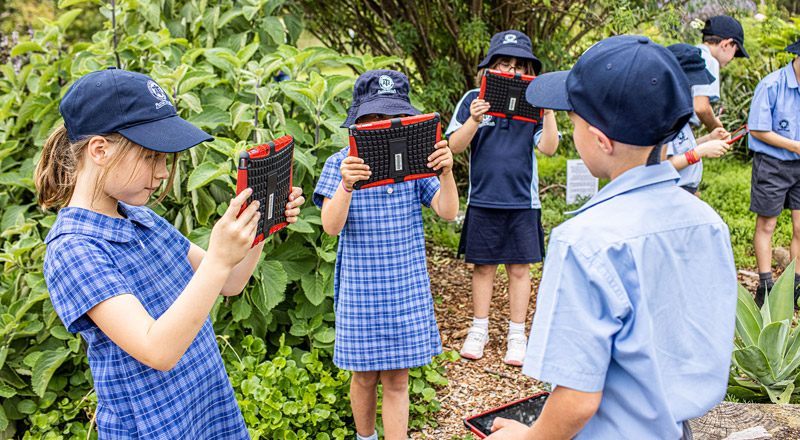 Catholic Schools Parramatta Diocese Primary students learning in outdoor garden
