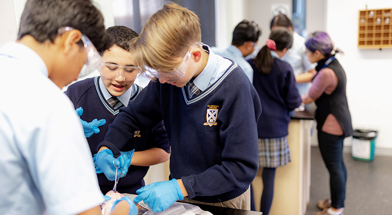 St Andrews Catholic College Marayong - Catholic Schools Parramatta Diocese Ltd
