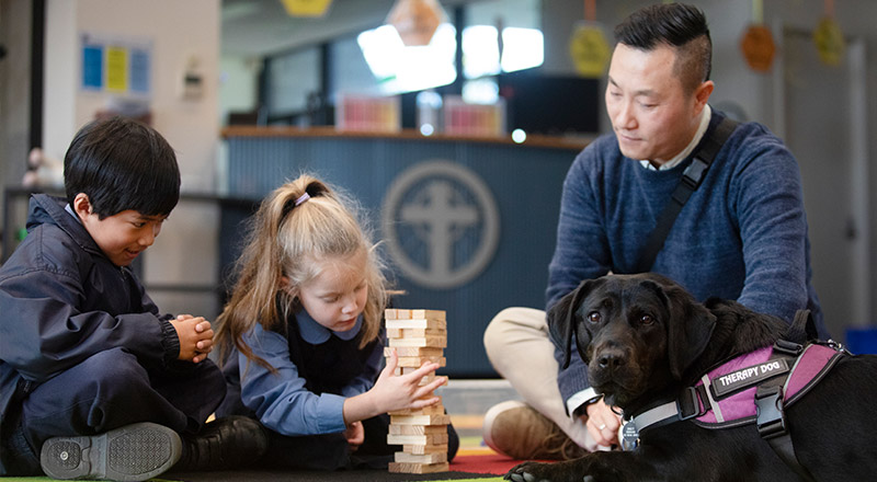 St Michael's Primary Blacktown South, Library, Wellbeing Therapy Dog.