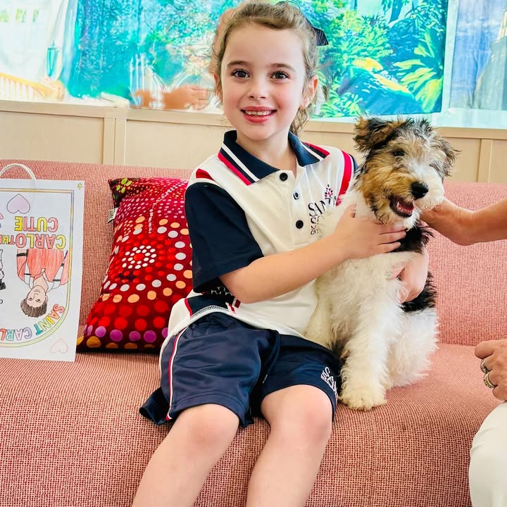 617762377044461_1349000657253959-1